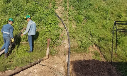Adaptándose a las exigencias del proceso: cómo Pexgol resuelve los problemas de corrosión y abrasión en la extracción de aceite de palma.