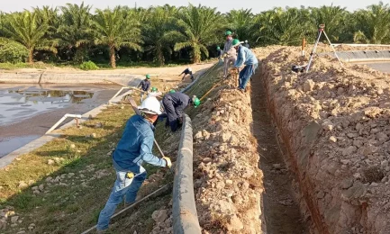 Case Study: Pexgol’s Solution at the Palm Oil Plant.