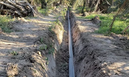 Transport of Muddy Water (Pome) witha High Content of Organic Load.